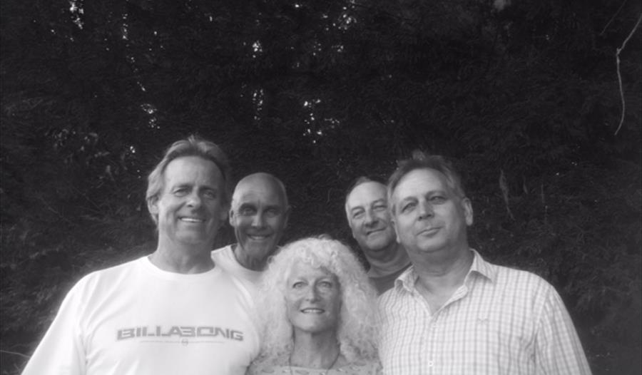 The Broad Band