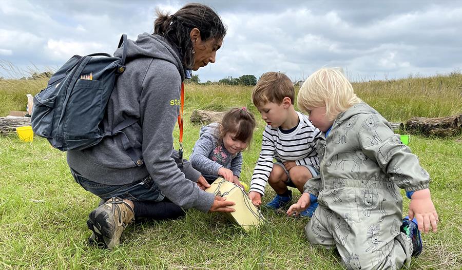 photograph of three small children playing in the grass, woman with backpack showing them a box.
