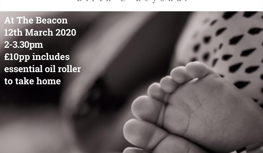Babes & Oils - Essential Oils for Preganacy, Birth & Beyond