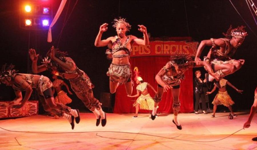 Circus