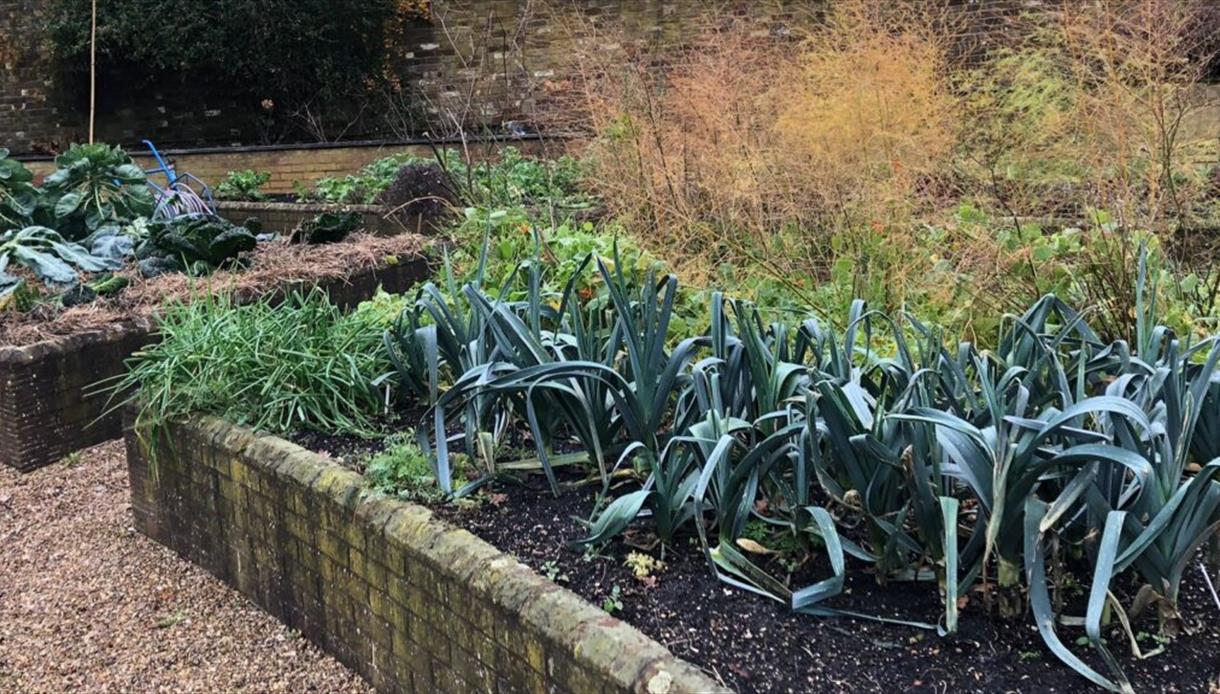walled garden at Fairlight Hall