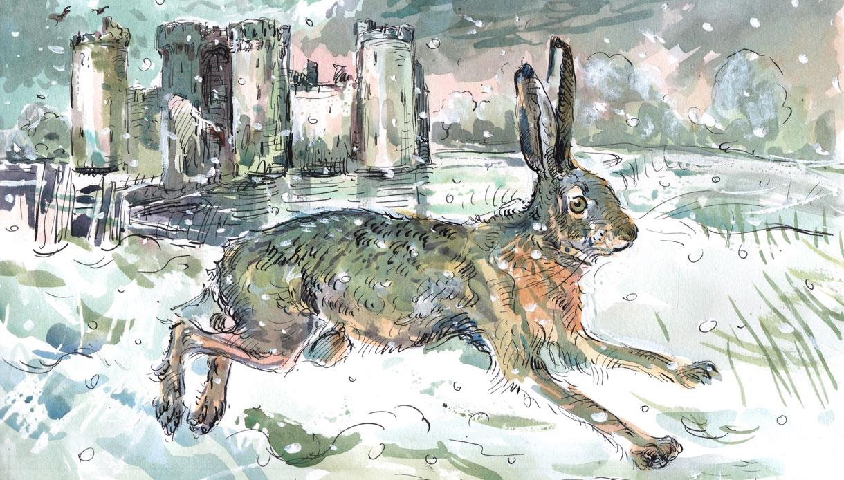 Claire Fletcher Exhibition at Bodiam Castle