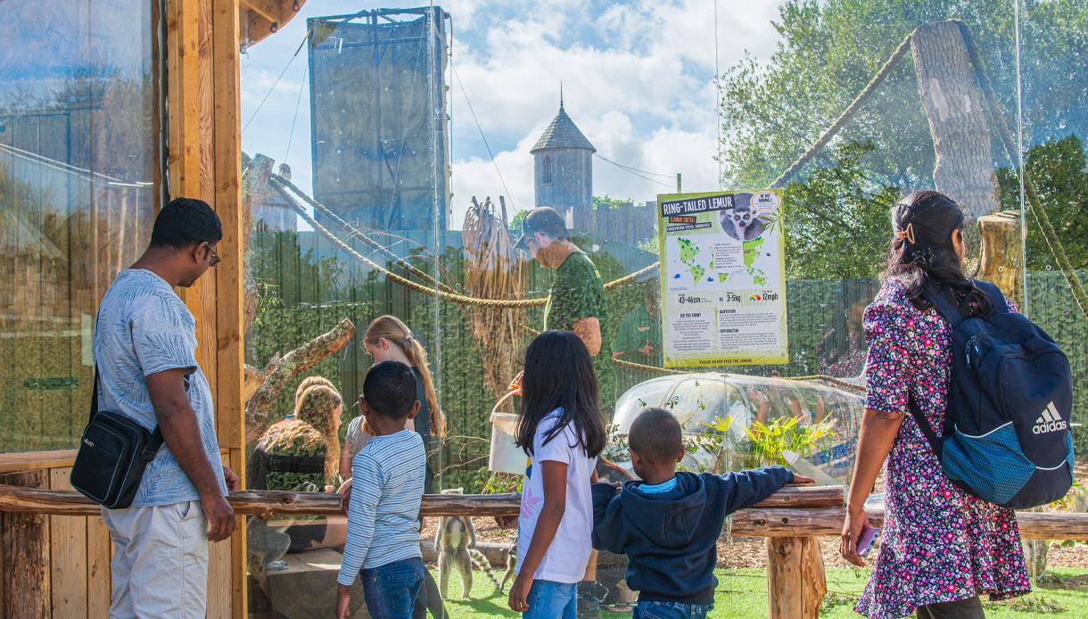 Back to School at Knockhatch Adventure Park, with families viewing animals at the lemur enclosure.