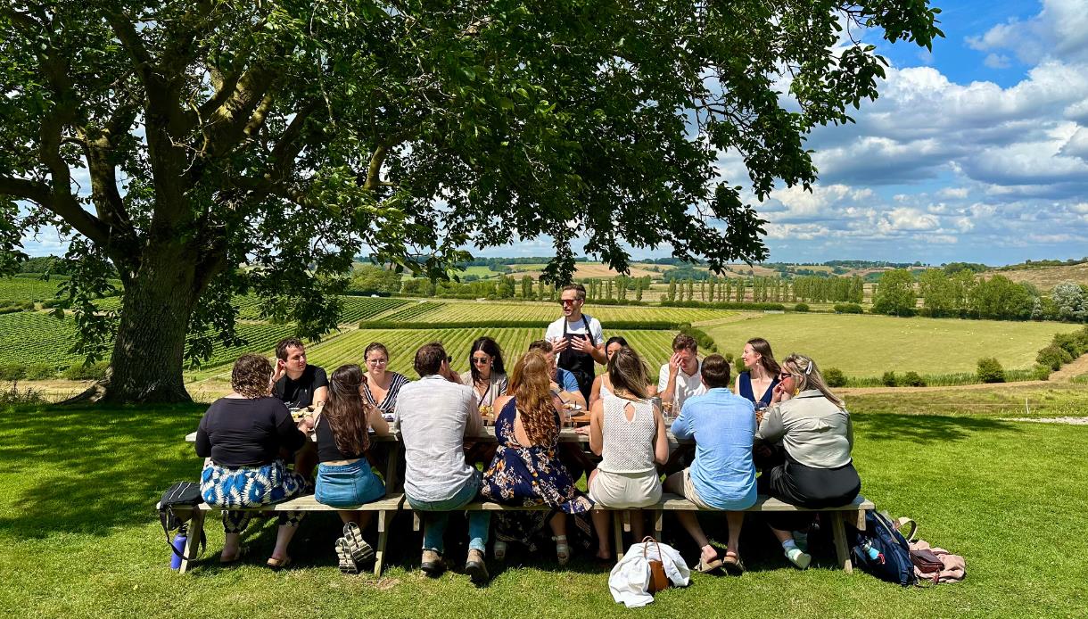Guided vineyard picnic experience with Vine & Country Tours, overlooking rolling Sussex countryside.