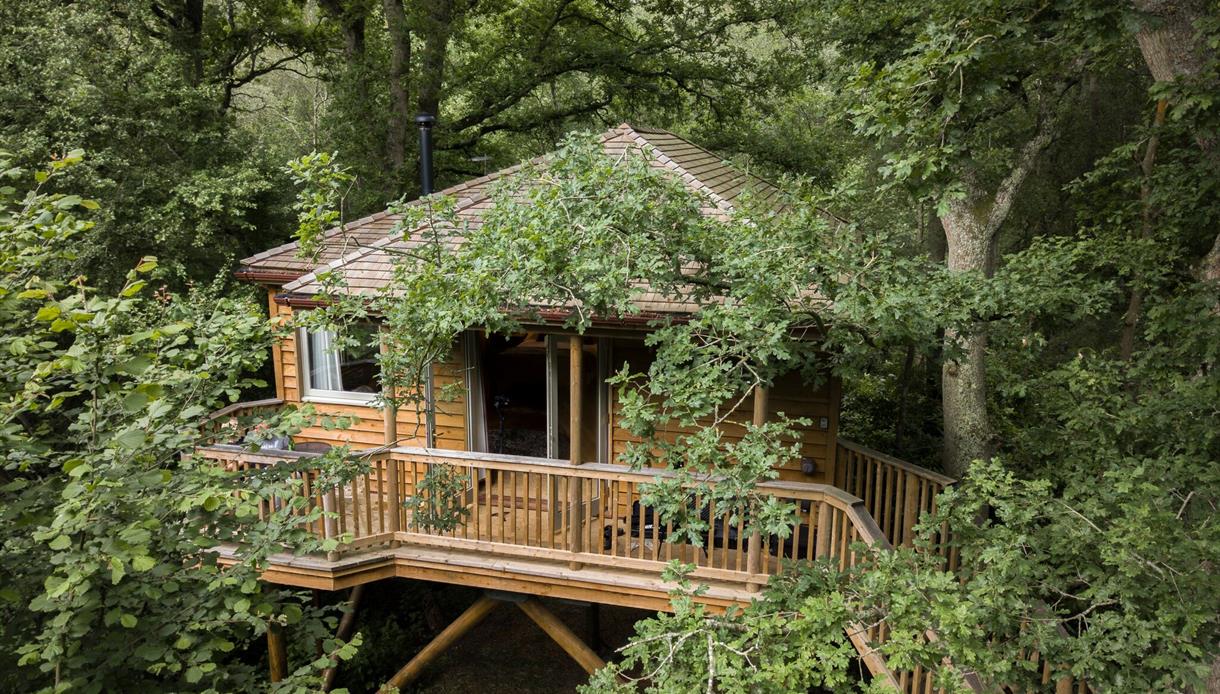 Tinkers Treehouse at Downash Wood Treehouses, East Sussex