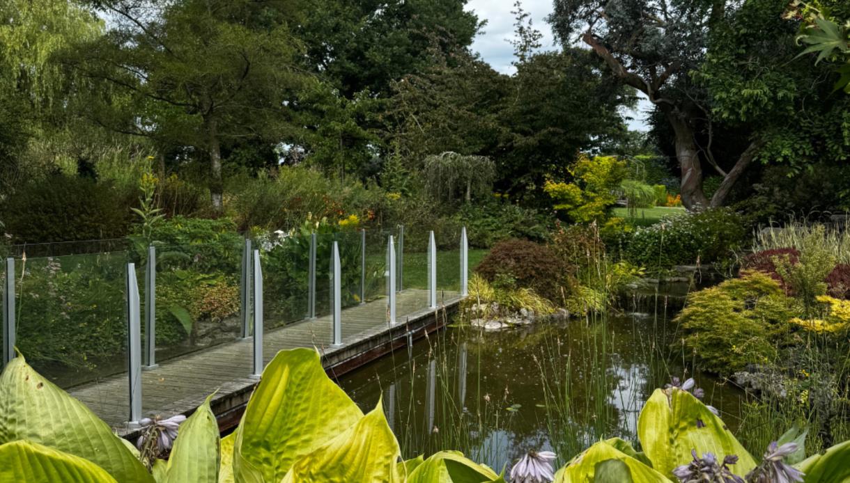Merriments Gardens pond with a glass-sided bridge, surrounded by lush planting, mature trees and waterside foliage.