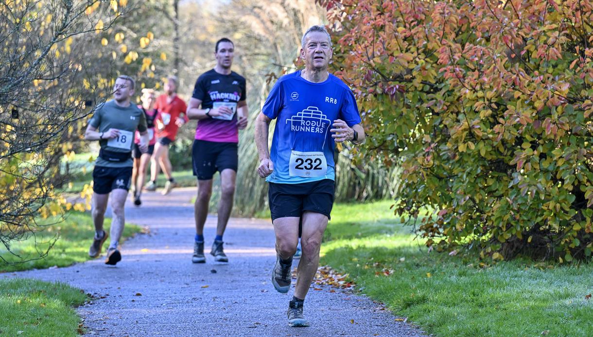 Runners take part in the Bedgebury Forest 10 & 5 Mile race along a tree-lined path surrounded by autumn colours
