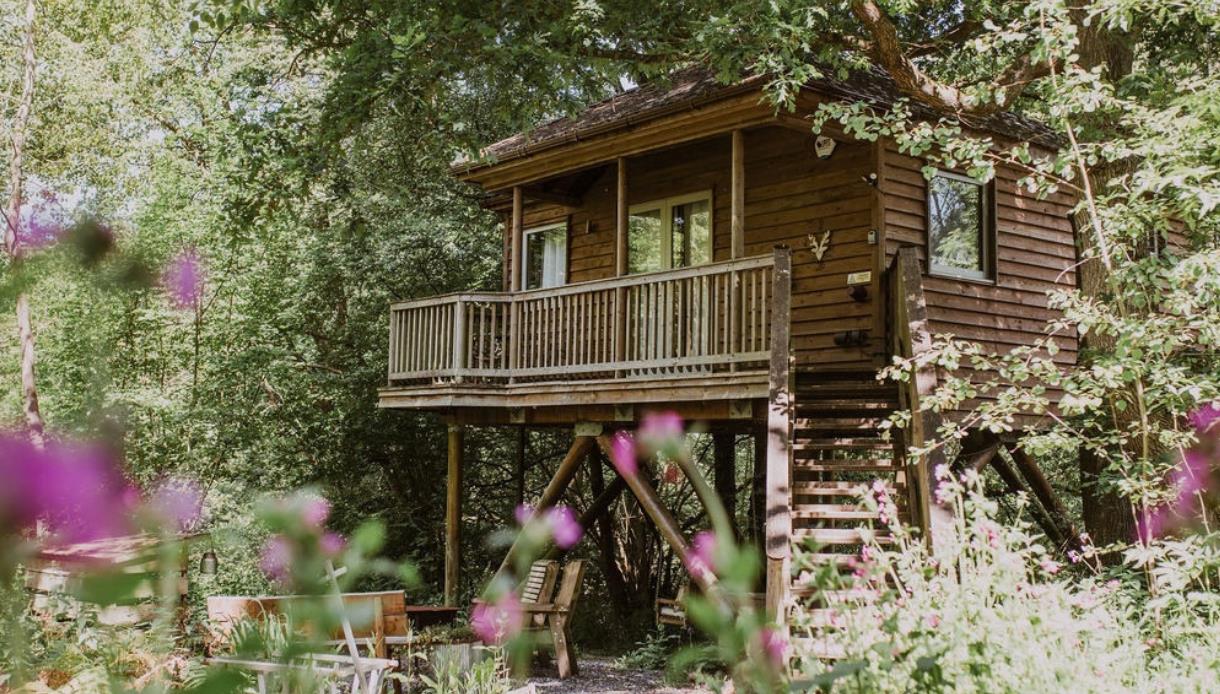 Woodland treehouse at Downash Wood with elevated deck surrounded by trees and wildflowers.