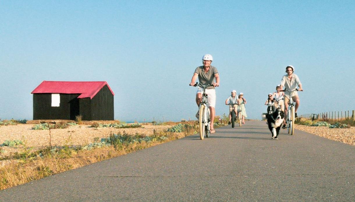 Electric Cycling Adventures Half Day