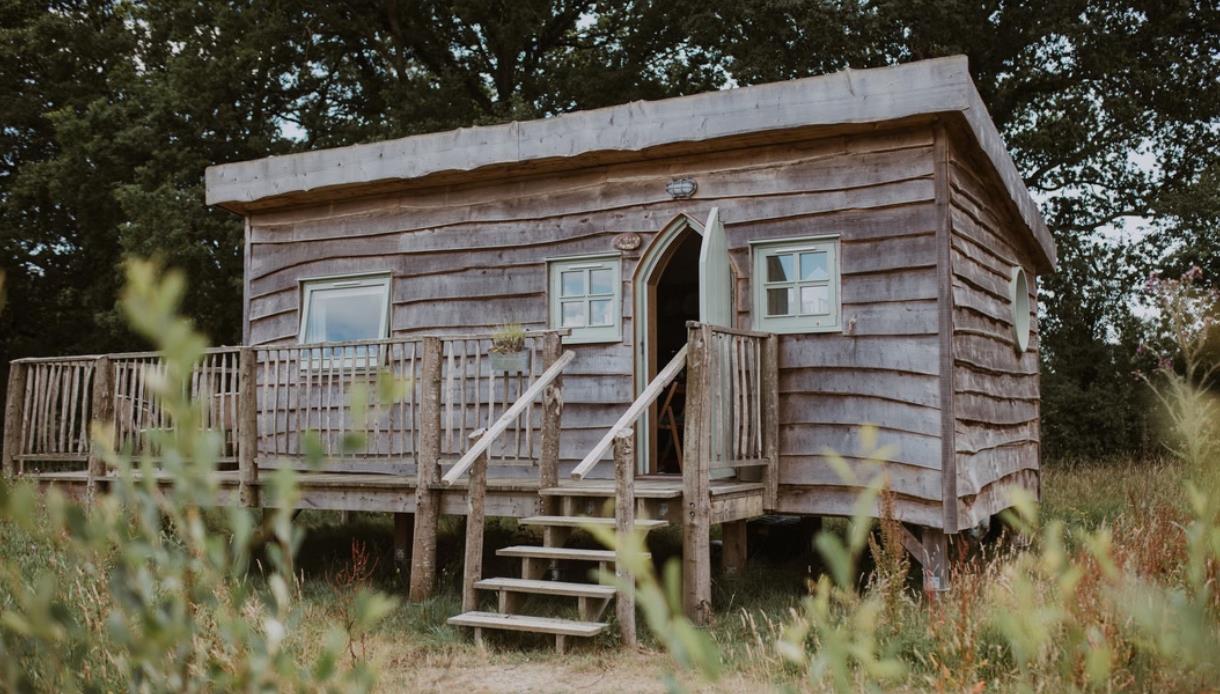 Starcroft Farm Cabin with a raised wooden deck, set among wildflowers and mature trees.