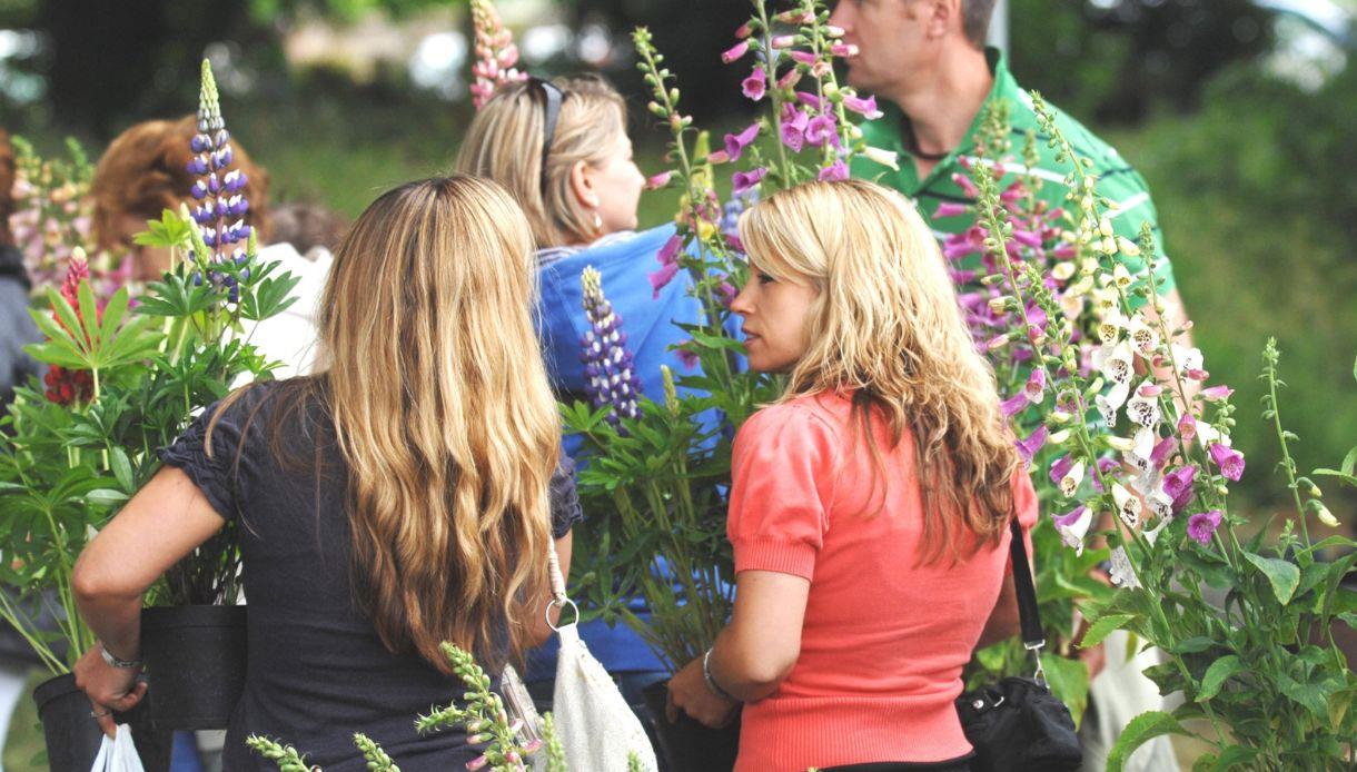 Visitors at Herstmonceux Castle carrying flowering plants among tall blooming flowers.