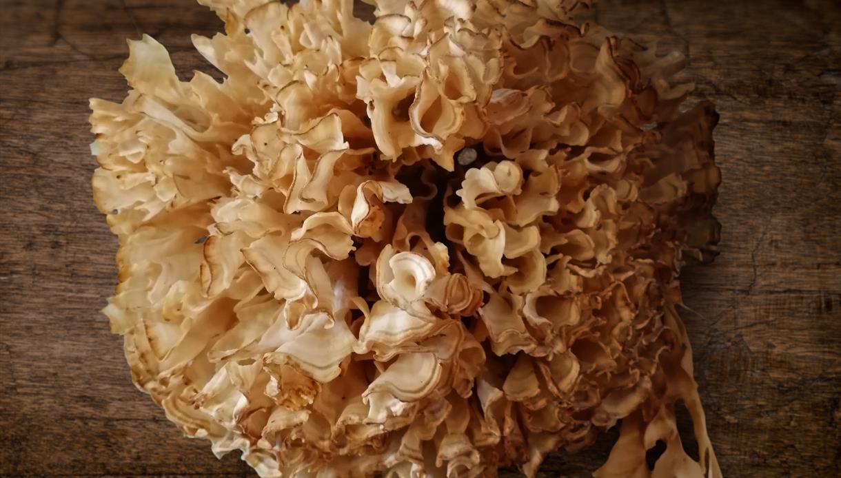Food Event Hastings , Webbes, Wild Mushroom, eating out 1066 Country