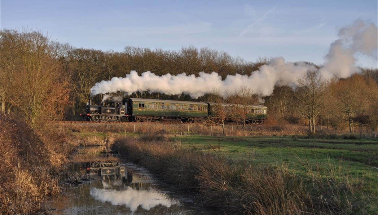 Steam train in countryside. Kent and East Sussex Railway