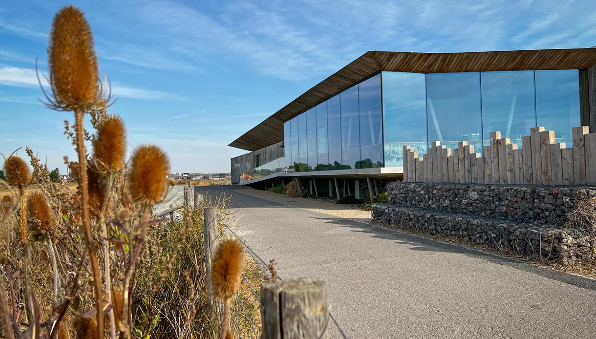 Rye Harbour Nature Reserve