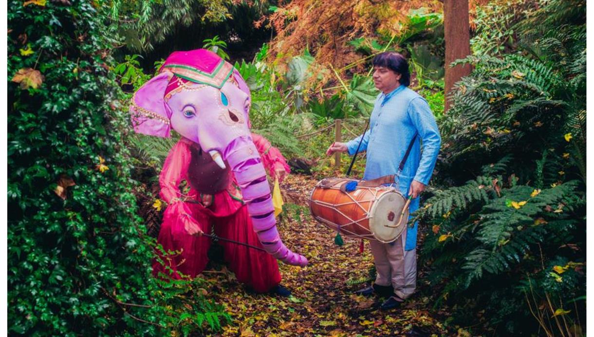 Elephant and trainer