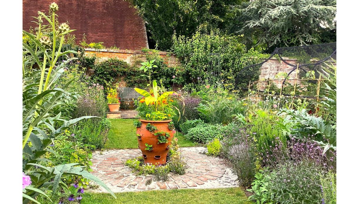 Garden scene with lush plants surrounding a large terracotta pot on a brick circle at Pashley Manor Gardens.