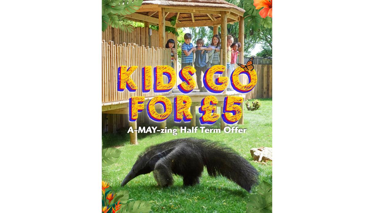 Children on a wooden structure look down at a giant anteater, with “Kids Go For £5” half-term offer text overlay.