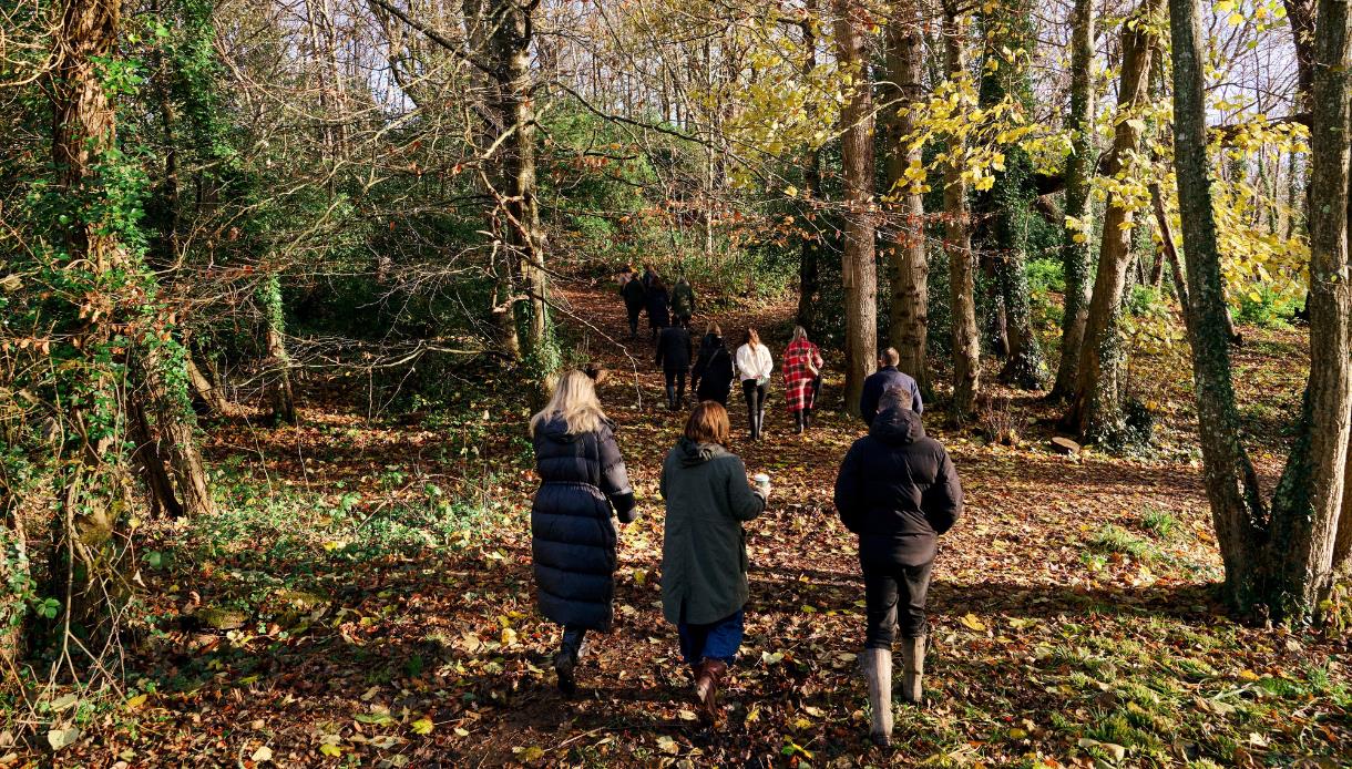 Group walking through autumn woodland at Powdermills during the (Re)wilding Walk & Autumnal Story-Telling event.