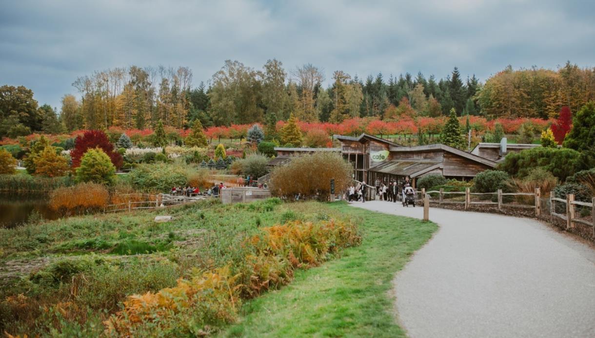 Autumn landscape at Bedgebury with colourful trees, a lakeside path and visitors near the visitor centre.