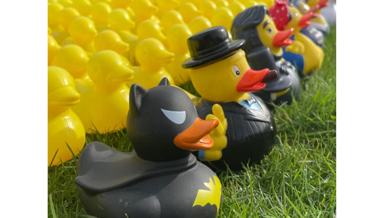 Rows of rubber ducks on grass, including costume-themed ducks like a black bat-style duck and one in a suit and hat.