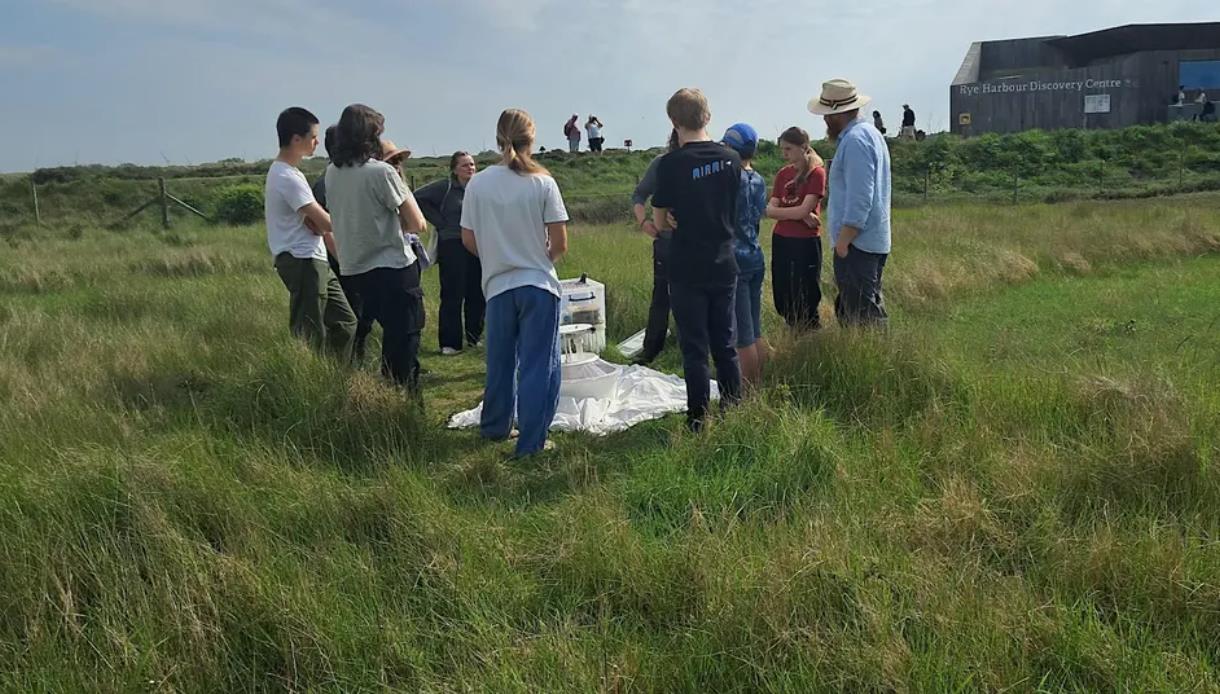 Teen Wildlife Rangers gathered in grassland at Rye Harbour Nature Reserve, taking part in an outdoor nature activity.