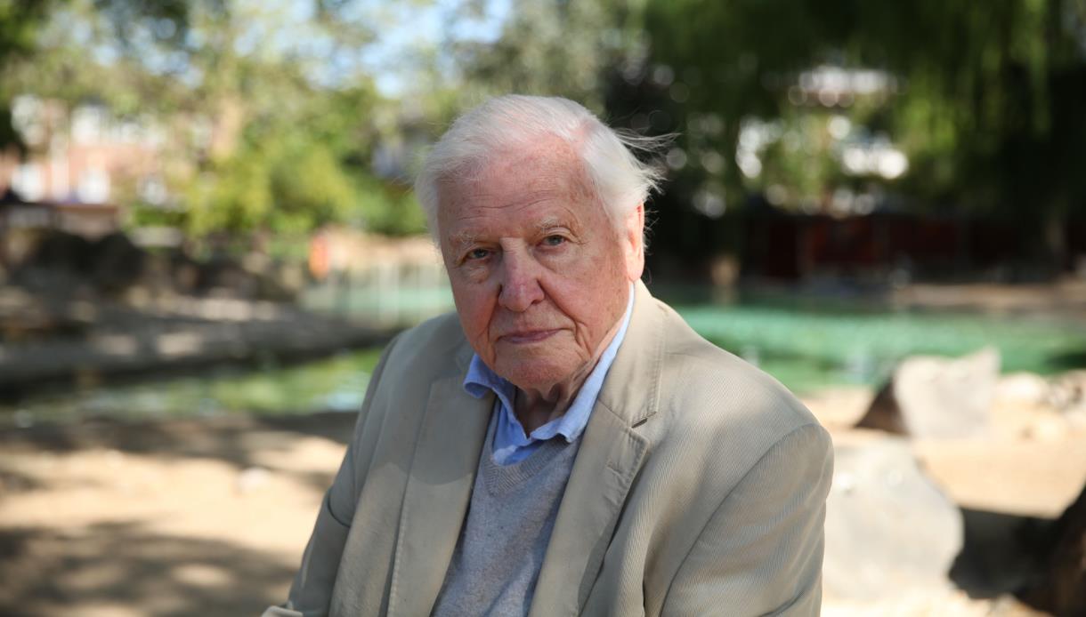 Portrait of a David Attenborough with white hair wearing a beige jacket, photographed outdoors beside water with trees in the background.