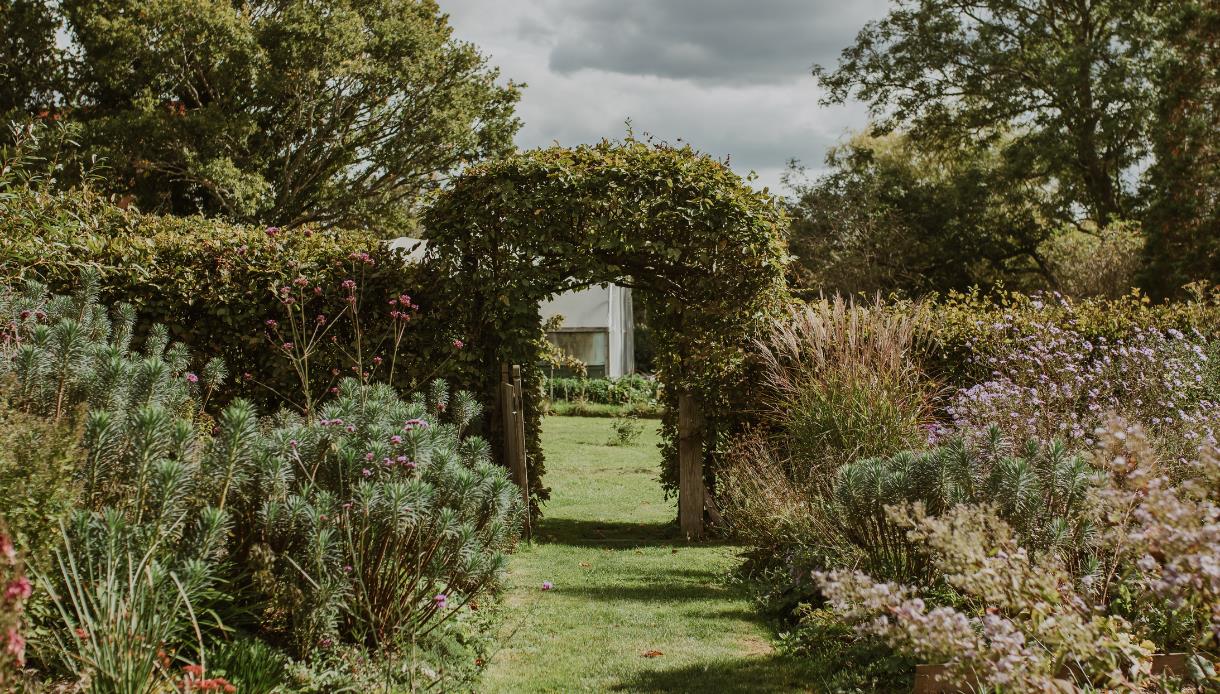 Garden path at King John’s Nursery framed by leafy archway, flowering plants, and greenery.