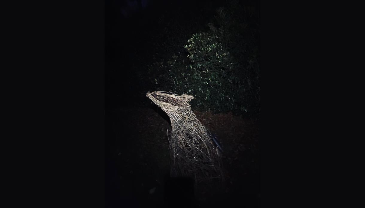 Woven willow sculpture illuminated at night in a garden setting, part of the Passing Through Nature to Eternity exhibition.