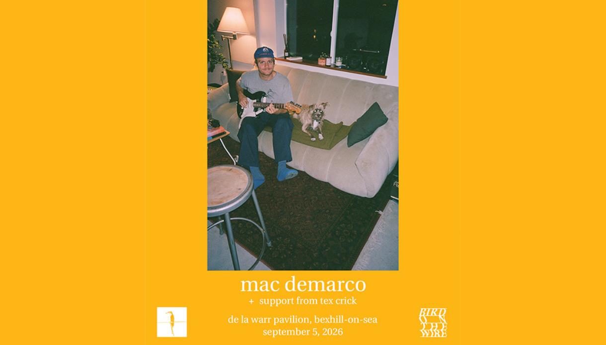 Promotional poster for Mac DeMarco at De La Warr Pavilion, featuring a person with a guitar sitting beside a dog.
