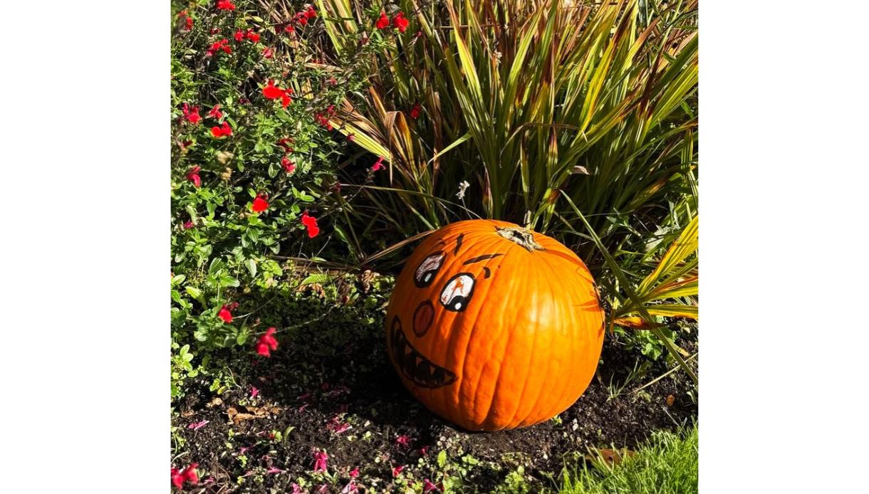 Painted pumpkin with a smiling face hidden among colourful flowers and foliage on the Merriments Garden pumpkin trail.
