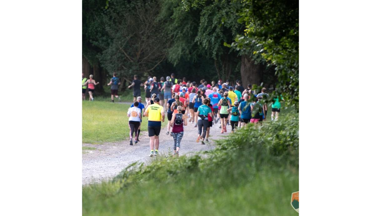 Group of participants running in an organized outdoor race on a tree-lined path.