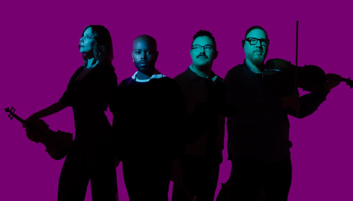 Vitamin String Quartet