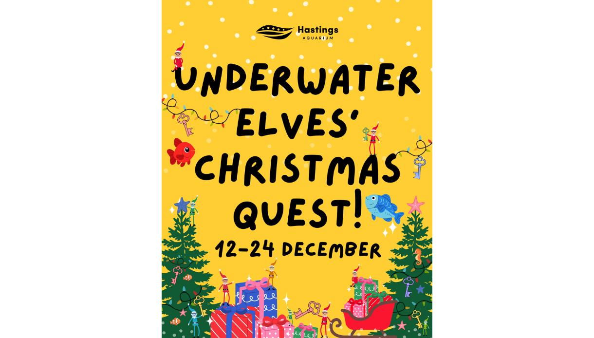 Poster for Hastings Aquarium’s Underwater Elves’ Christmas Quest, 12–24 Dec, with festive fish and gifts.