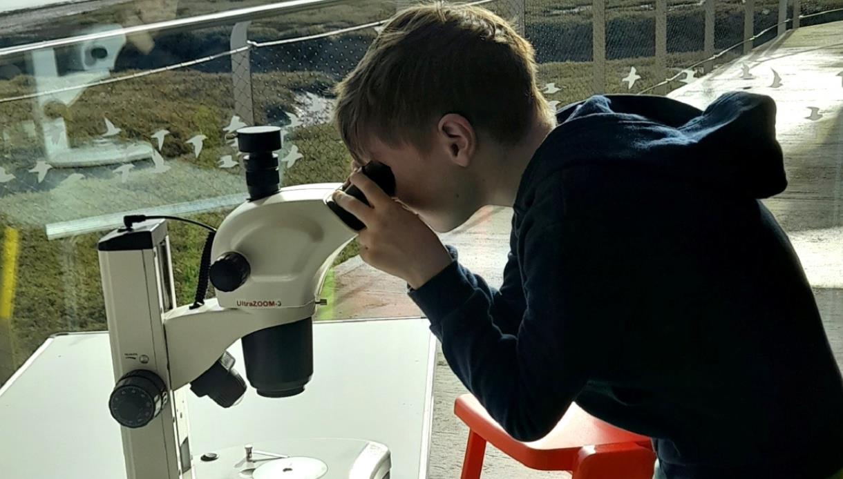 Visitor using a microscope inside Rye Harbour Nature Reserve, exploring natural specimens with coastal habitats visible outside.