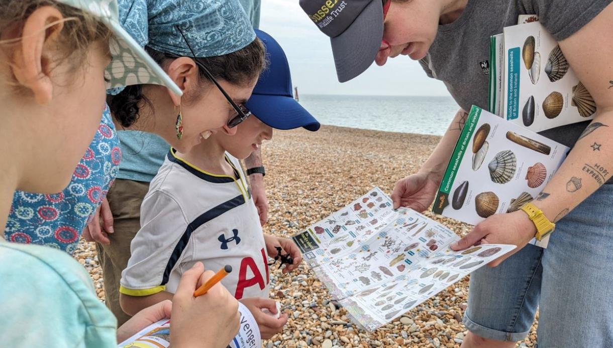Children and an adult identify seashells on a shingle beach at Rye Harbour Nature Reserve using illustrated wildlife guides.