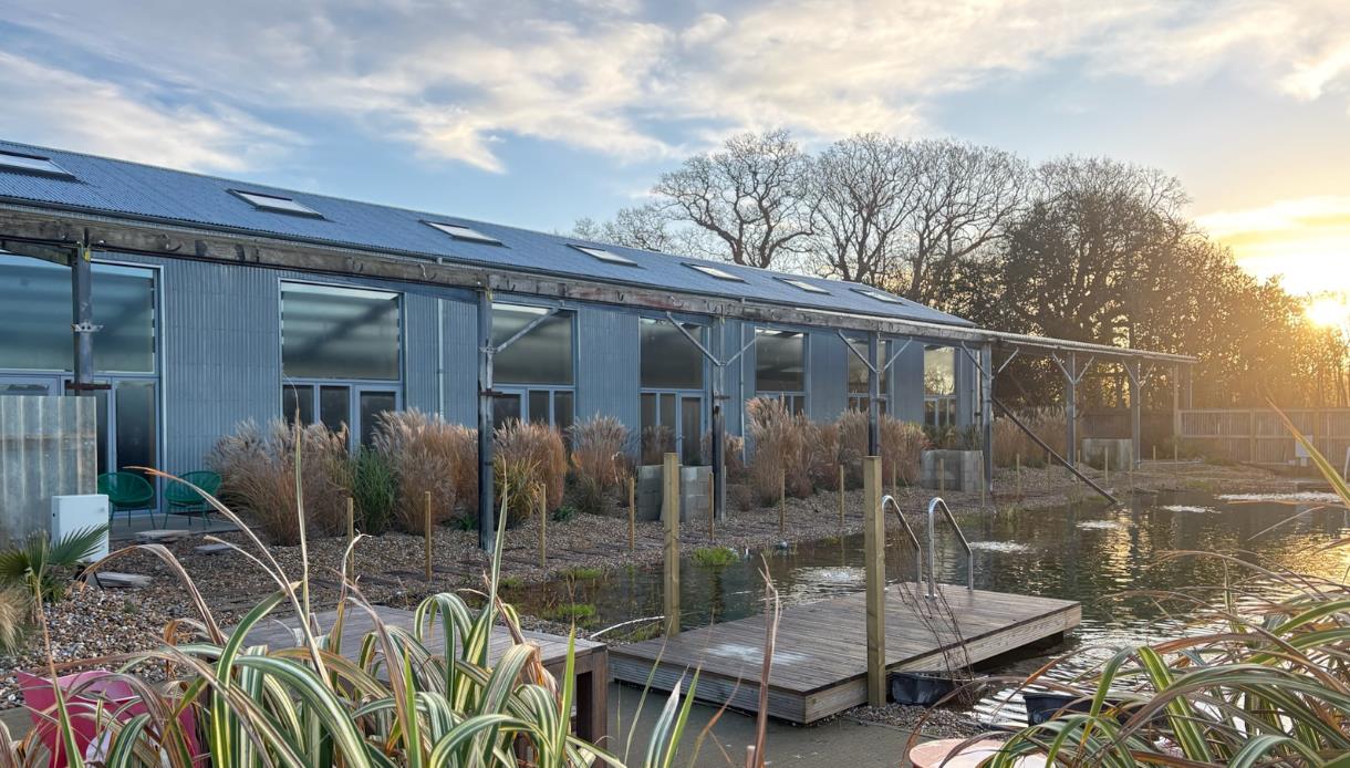 Barnscape Farm building beside a natural swimming pond, with grasses and a wooden deck in soft sunset light.