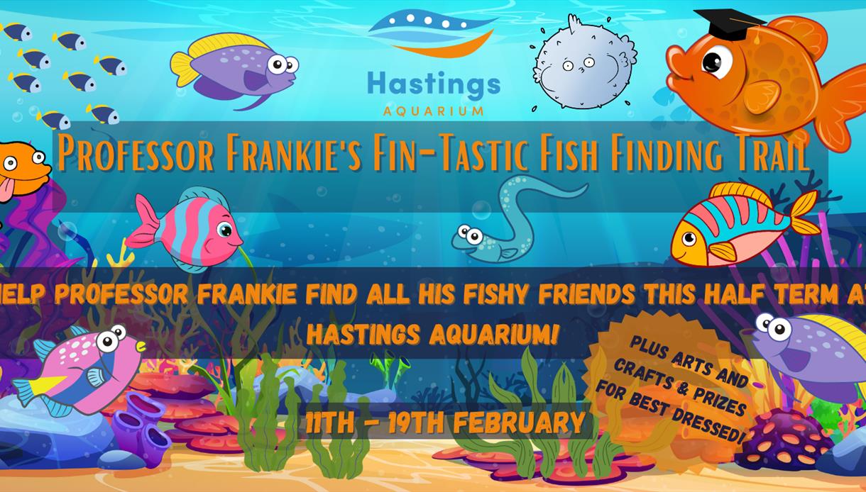 Professor Frankie's Fin-Tastic Fish Finding Trail!