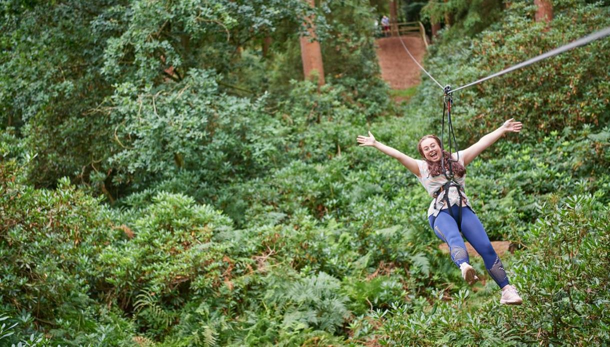 Go Ape Bedgebury