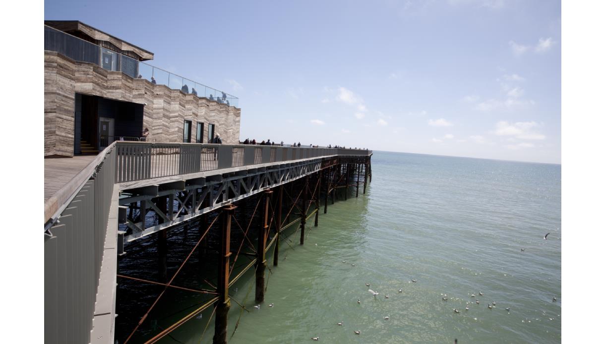 can you take dogs on hastings pier