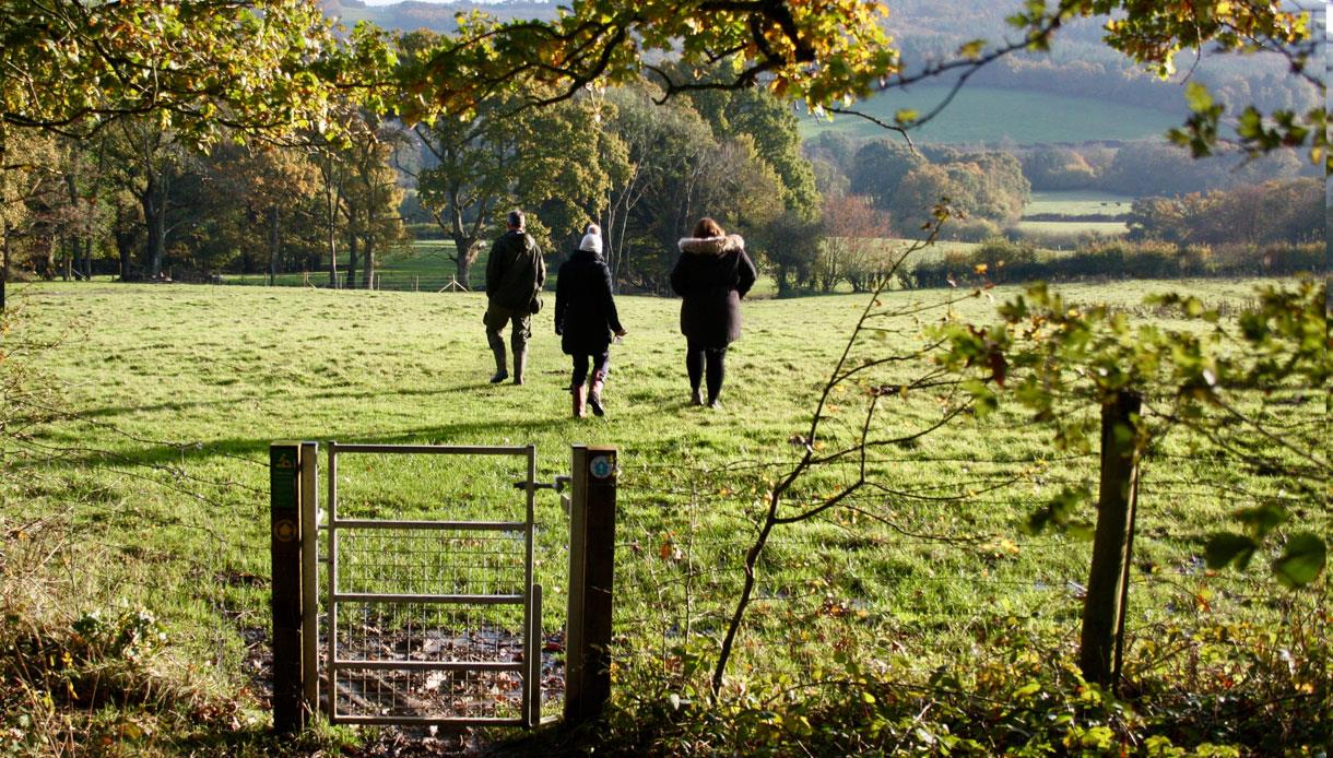 Boxing Day walk at Bateman's in Burwash, East Sussex