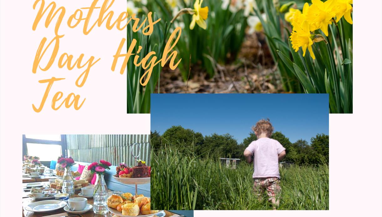 Mothers Day High Tea