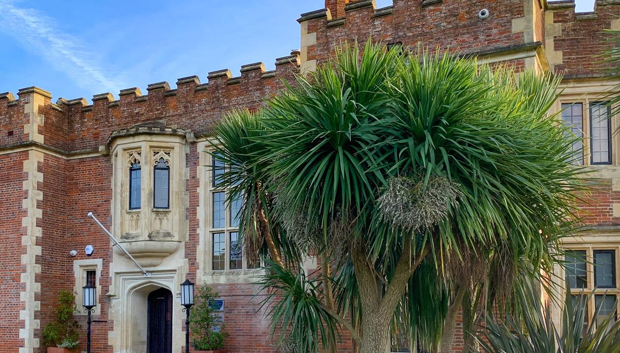 Hastings Museum and Art Gallery