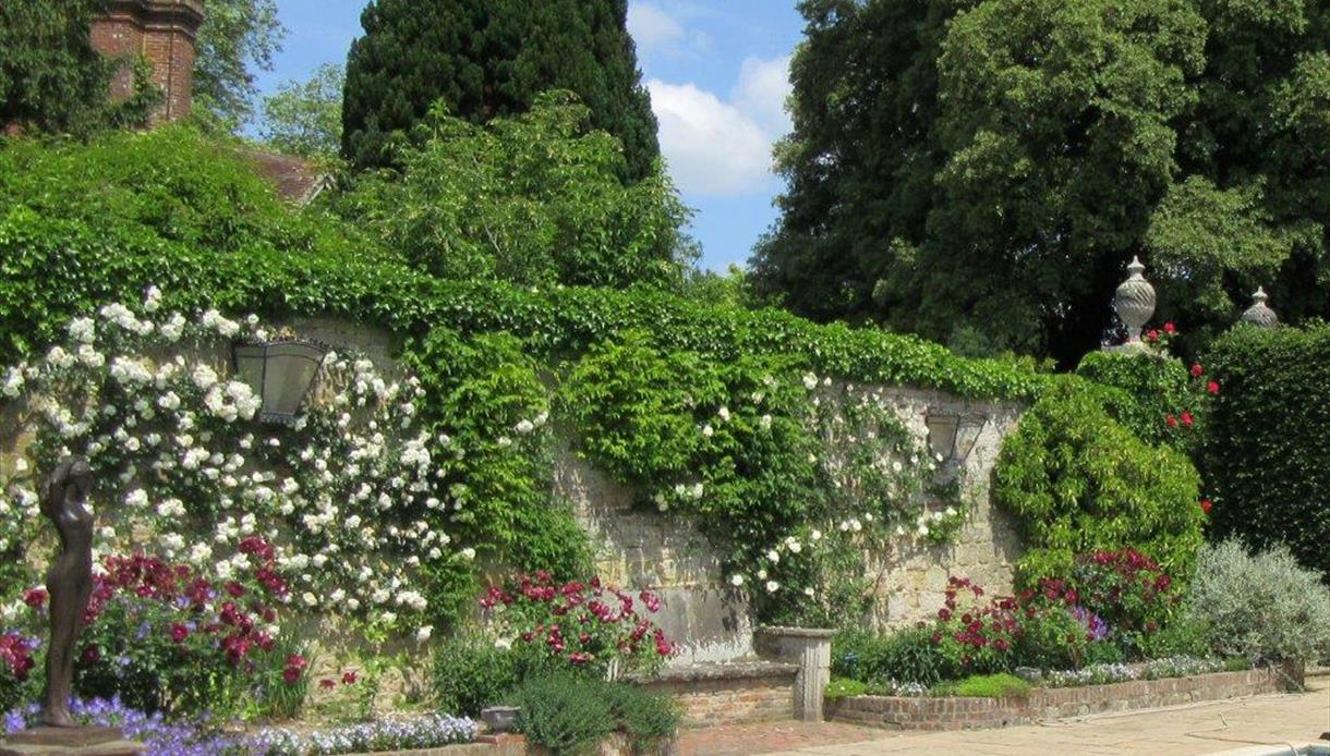 Roses at Pashley Manor Gardens East sussex