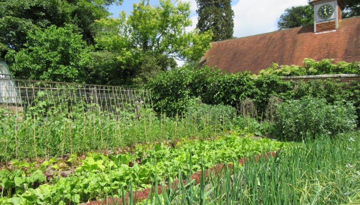 Pashley Manor Gardens - kitchen garden