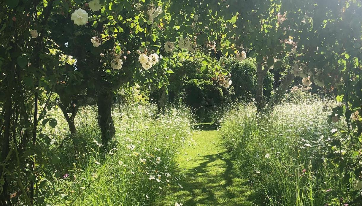 Roses and gardens in green