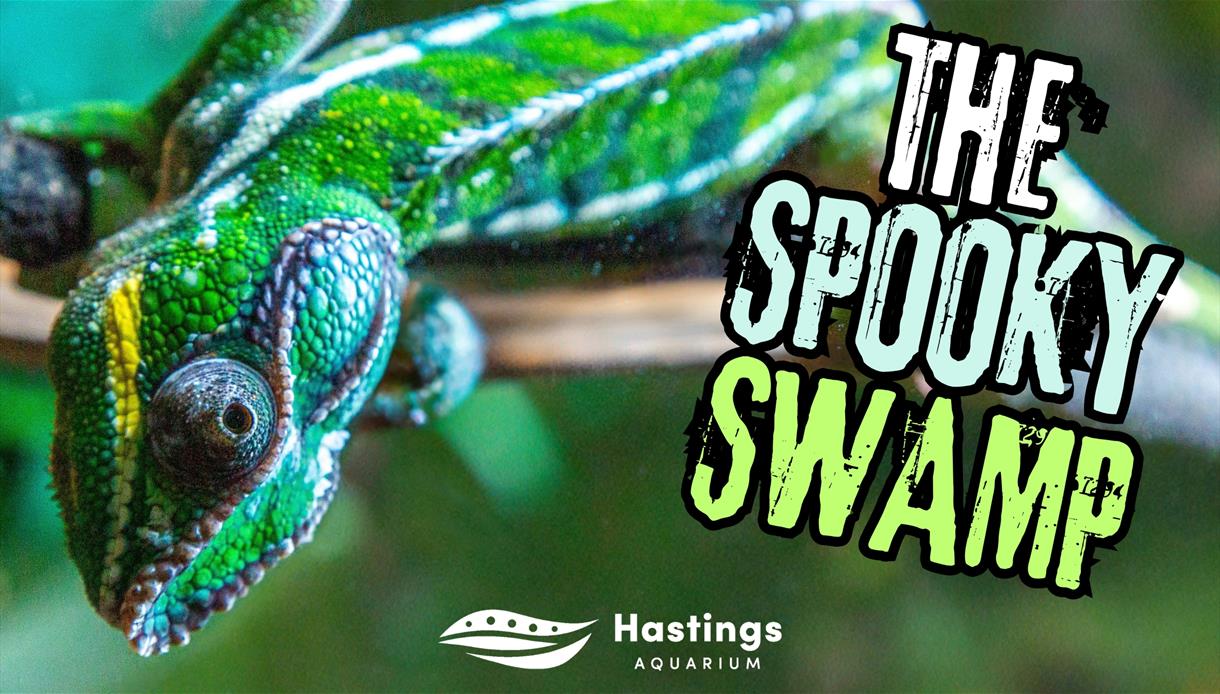 Close-up of a bright green chameleon beside promotional text for The Spooky Swamp at Hastings Aquarium.