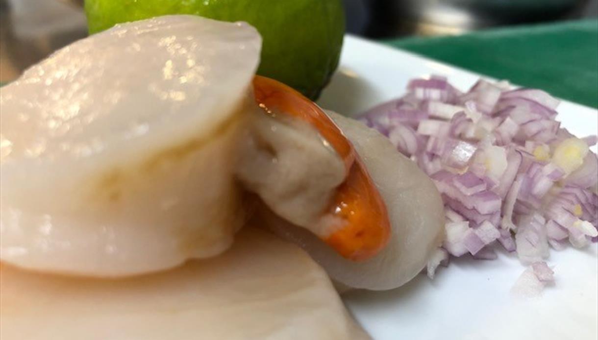 Spring Taster Gourmet - Hastings