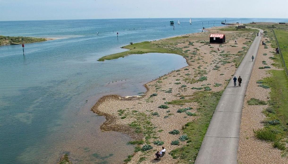 aerial view of a harbour, with grass and vegetation, single shore and a long tarmac path leading along the shoreline.