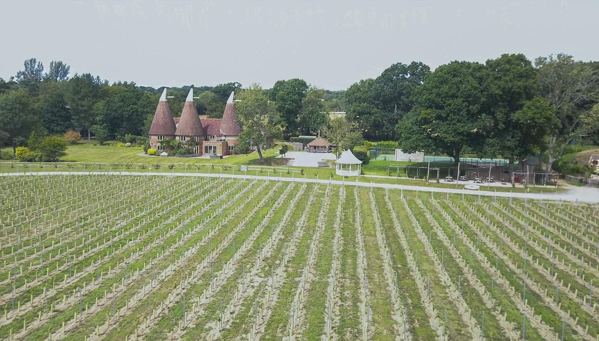 Oastbrook Estate Vineyard Robertsbridge Visit 1066 Country