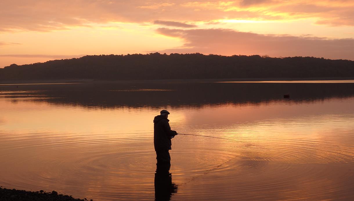 New Year Fishing at Bewl
